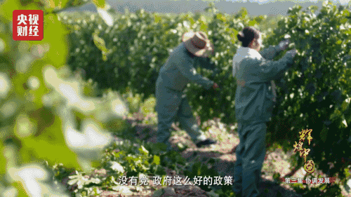 喜迎十九大，國力強盛人民歡慶