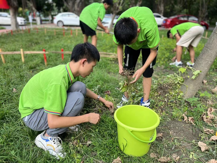 豐收季來襲!新華農(nóng)場喜迎豐收季~