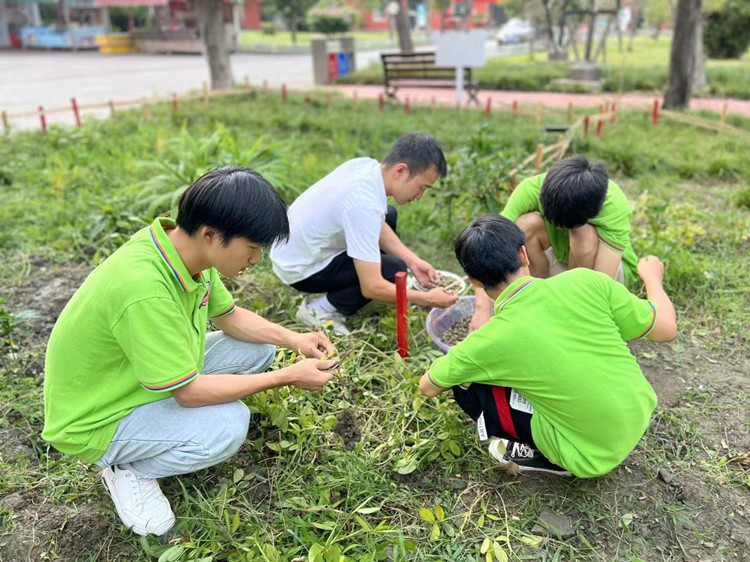 豐收季來襲!新華農(nóng)場喜迎豐收季~