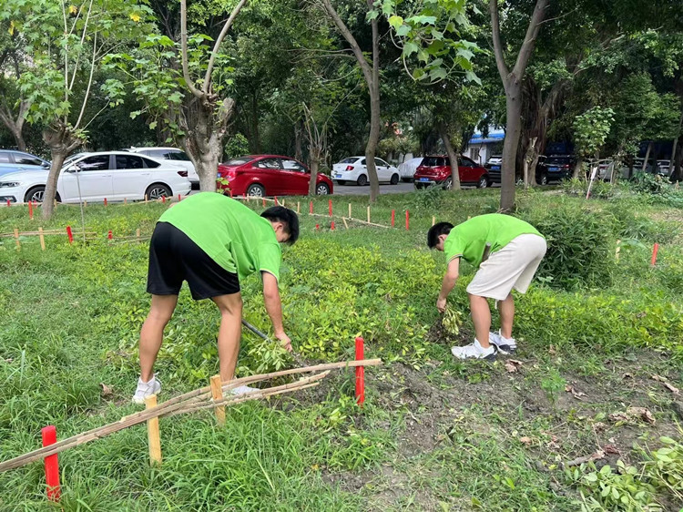 豐收季來襲!新華農(nóng)場喜迎豐收季~
