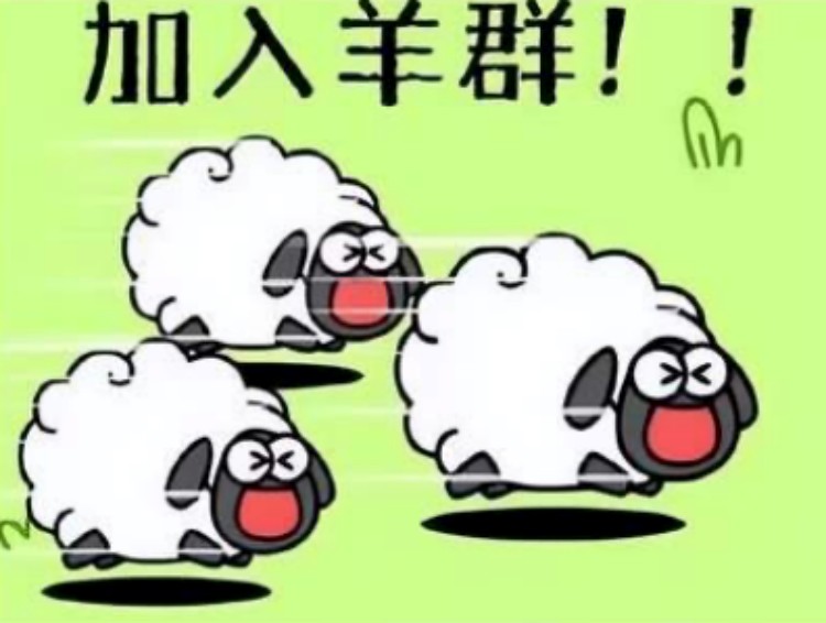 羊了個羊?成都新華四步帶你無限通關!