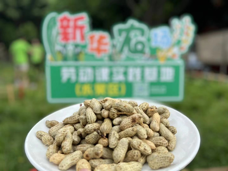 @所有人|盤點(diǎn)成都新華2022十大事件