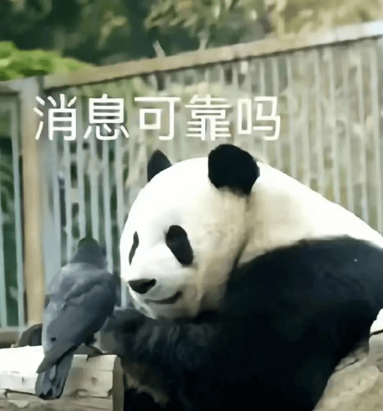 對口高考:升學壓力低,還可以沖本科